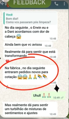 Conversa de WhatsApp com o retorno de uma empresa depois do atendimento